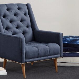 Alicia Modern Chair In Blue Colour By Dreamzz Furniture