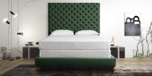 Progressive King Size Upholstered Bed in Classic Green Colour by Dreamzz Furniture