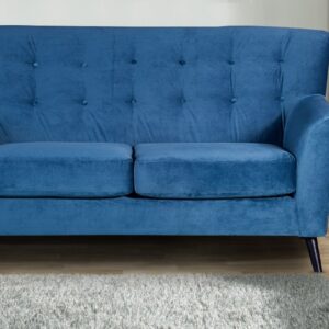 Arian Two Seater Sofa In Blue Colour