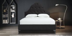 Charlotte Head Board Tufted Bed with teak legs